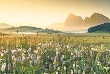 广州大象传媒公司-广州大象传媒公司，创新与传承并蓄的传媒新势力