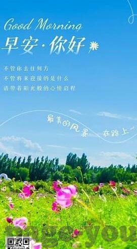 免费国产一区二区三区-探索网络世界的多元选择，免费国产影视资源区域划分