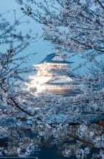 日韩欧美麻豆视频粉嫩-全球化 网络 视觉文化新视野，日韩欧美国模特视频与粉嫩文化探析