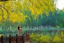 糖心app iOS-重塑数字时代的消费新视角，糖心App在iOS平台的创新实践与用户洞察
